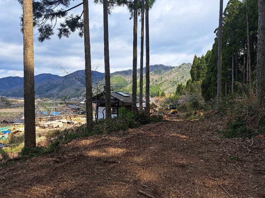 この美しい森を守るために、この重機で森林作業道を作っている