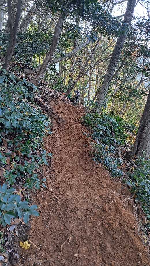 美山の「Mトレール」は、林業のプロが、地形を読み、水を通し、山を傷めないように
緻密に設計した「作業道」の進化系です。